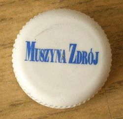 Muszyna Zdrój.jpg