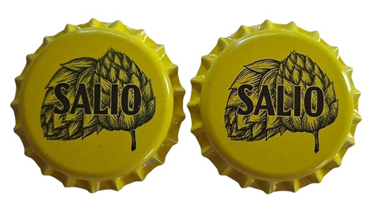 salio.jpg